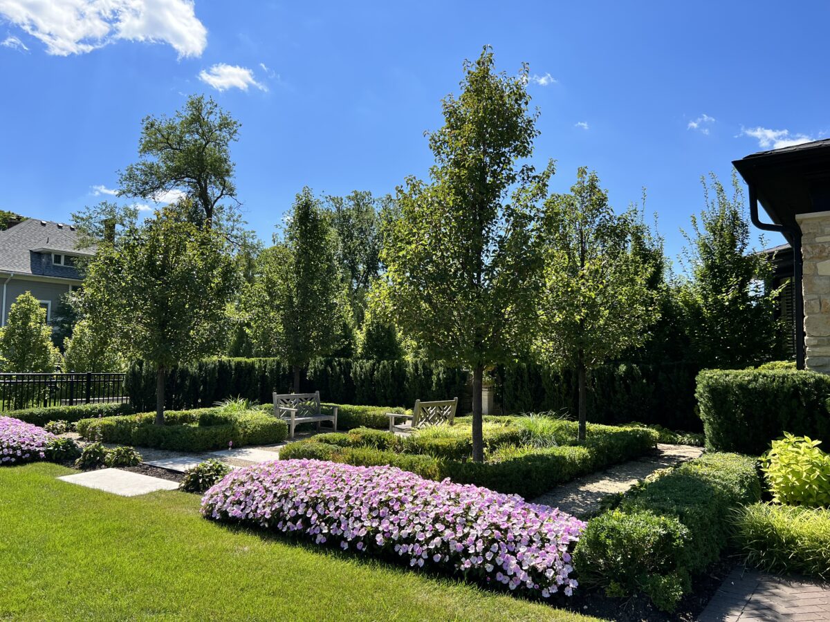 Hinsdale Hideaway Landscape Illinois