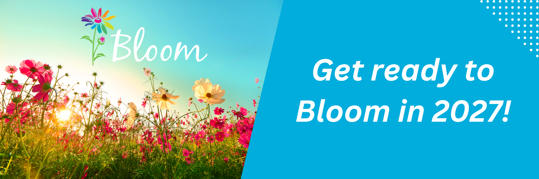 Bloom web banner (1)